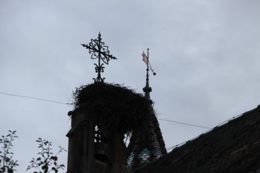 Eguisheim, Alsace - Croix et nid de cigognes !